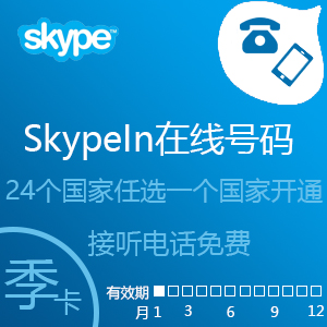 点击购买Skypein在线号码季卡(在充值卡