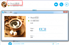 skype如何查看好友资料?